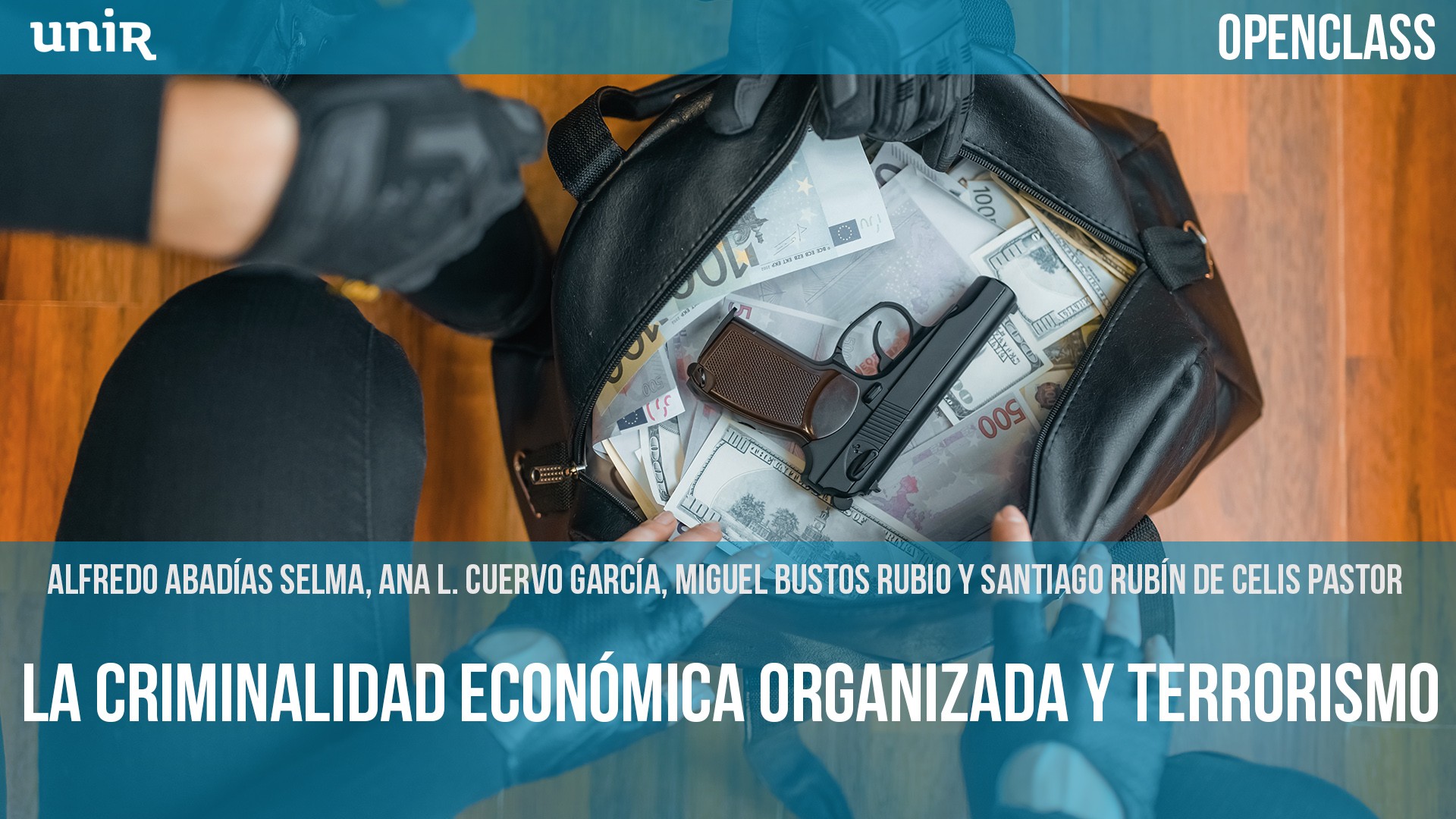 La criminalidad económica organizada y terrorismo