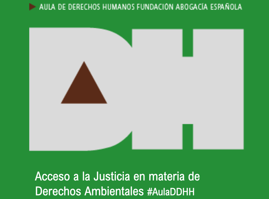 Acceso a la Justicia en materia de Derechos Ambientales