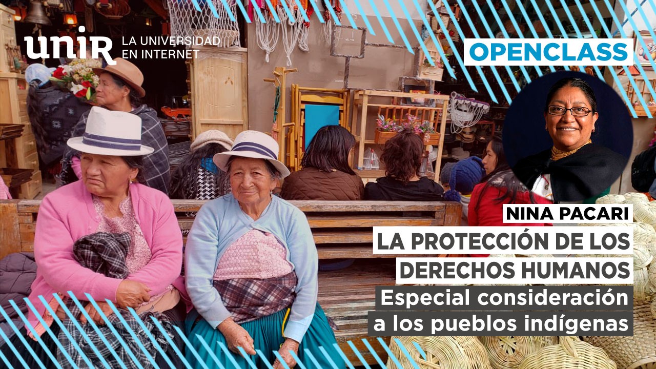 La protección de los derechos humanos: especial consideración a los pueblos indígenas