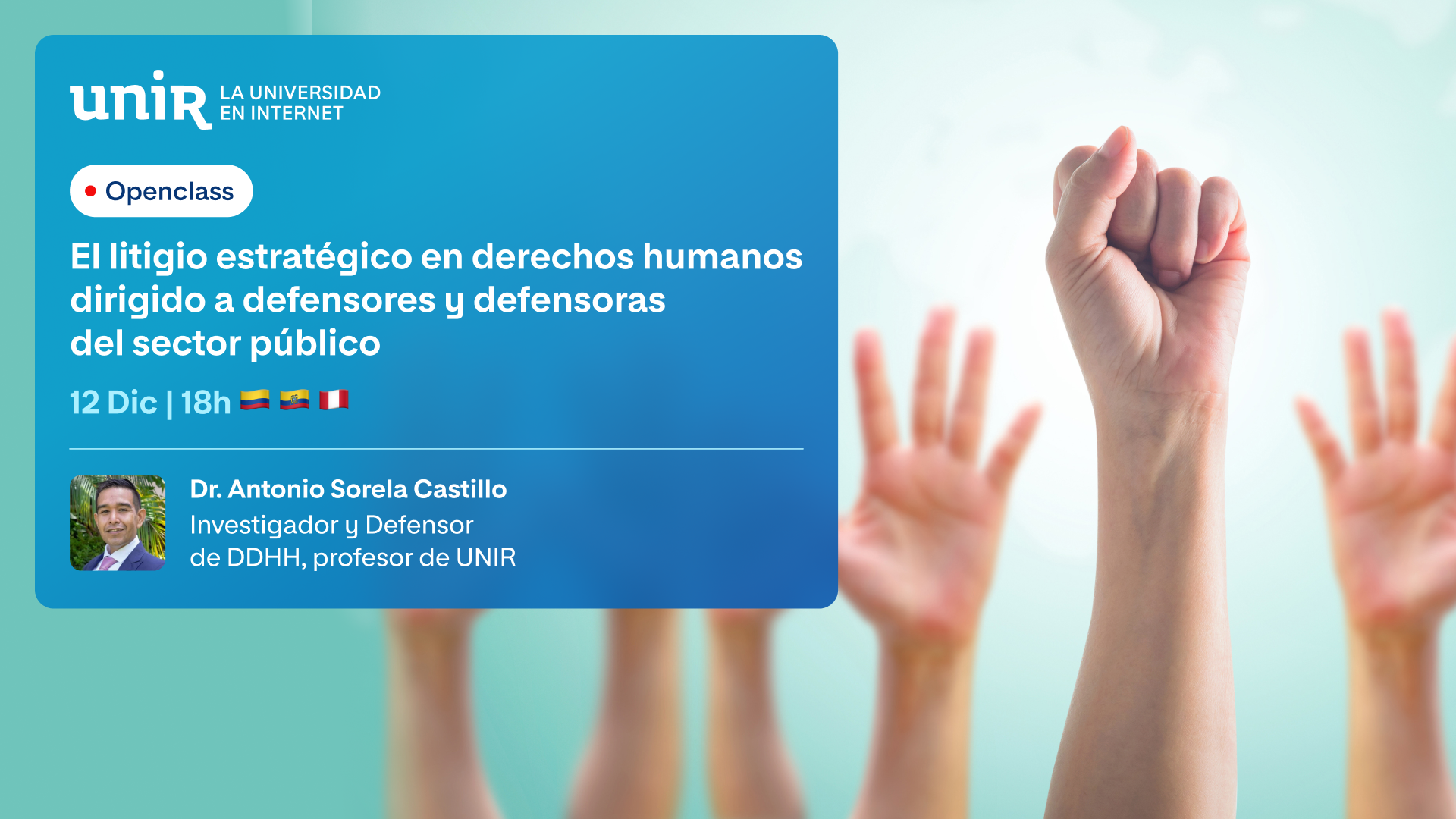 El litigio estratégico en derechos humanos dirigido a defensores y defensoras del sector público