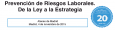 Prevención de Riesgos Laborales. De la Ley a la Estrategia